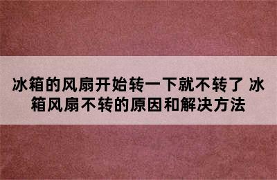 冰箱的风扇开始转一下就不转了 冰箱风扇不转的原因和解决方法